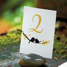 Set of 8 Natural Rocks with Card Etch
