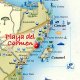 Mexico cell phone delivered to customer at Playa del Carmen