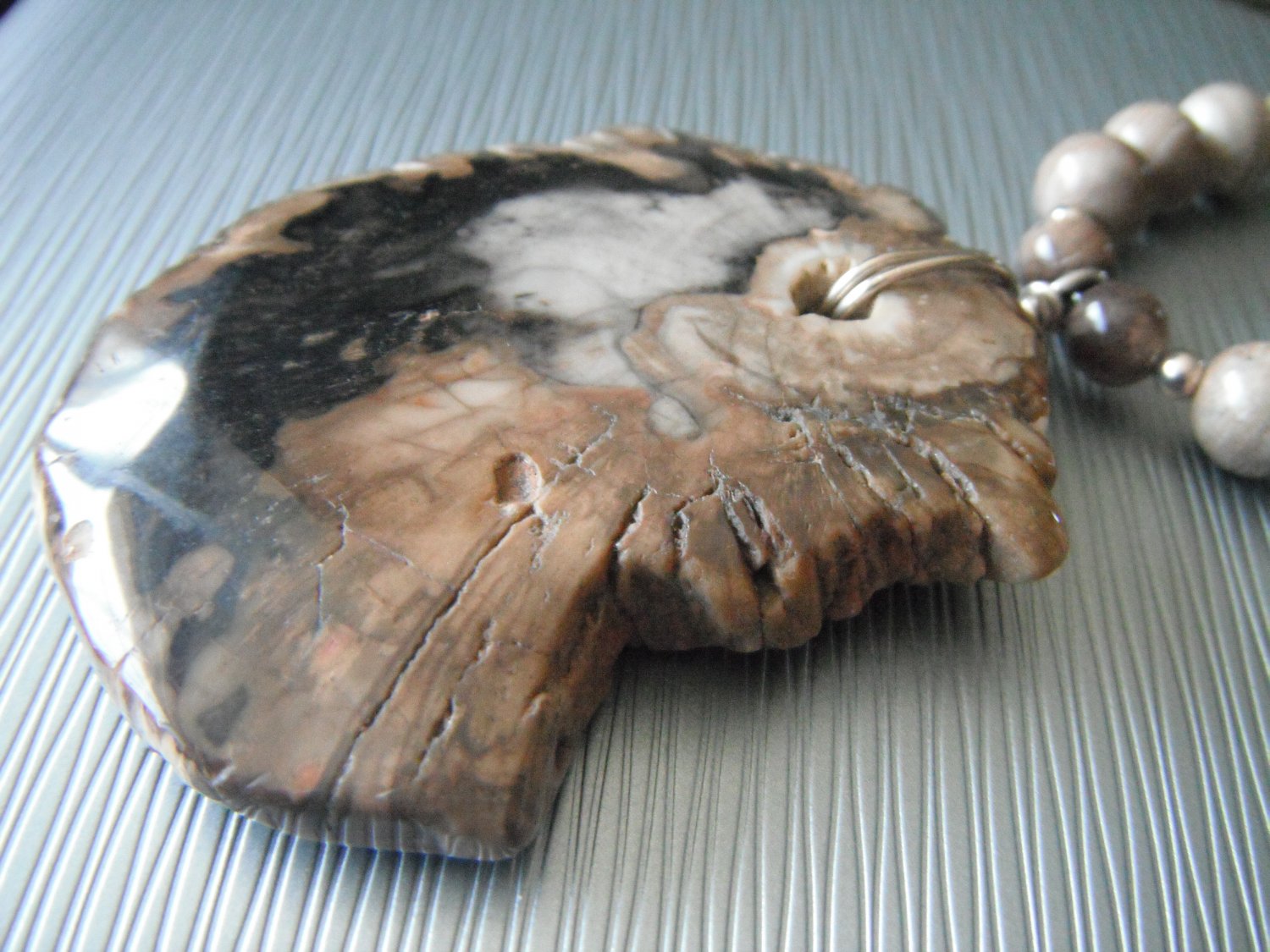 Petrified Wood