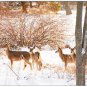 White-Tail Deer #3 Winter Boxed Notecard Set