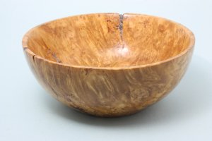 Maple Burl