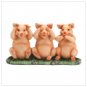No Evil Piggies Here!