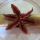napkin rings