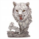 Fierce White Tiger Display