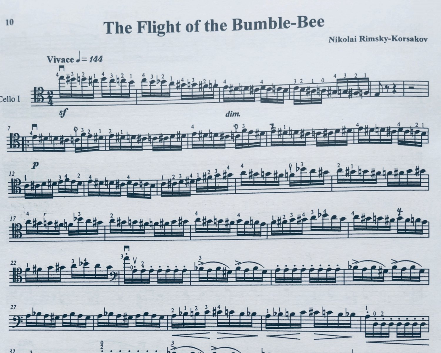 'Flight of the Bumble Bee' Cello Duet - Arranged by Lu-Yan Guo
