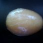 Handcrafted Glycerin Based Goats Milk & Aloe Soap