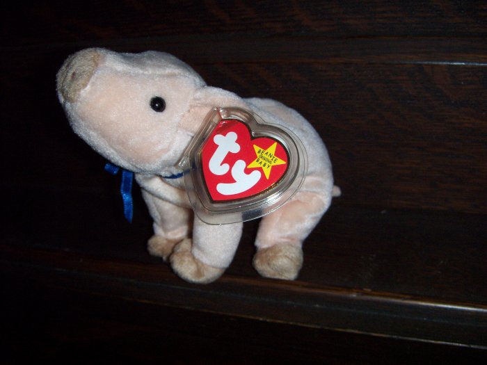 1999 Knuckles The Pig Mint Ty Beanie Baby with Tag