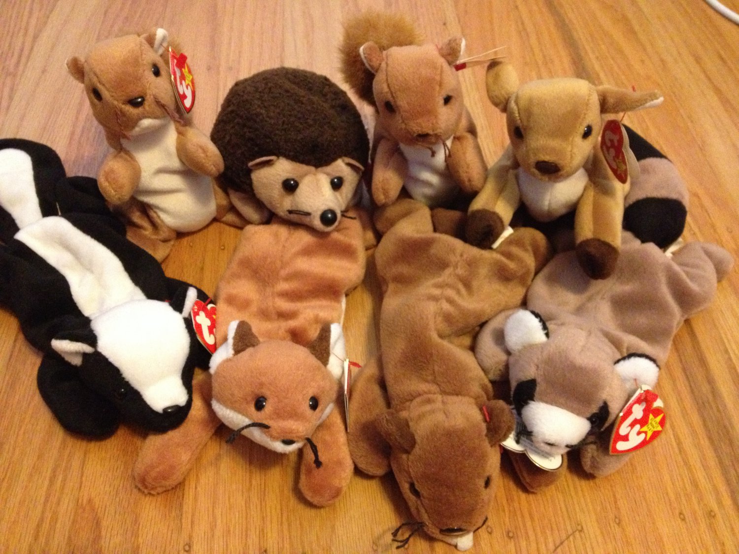 Beanie Baby Woodland Critters Lot of 8 (Nuts, Sly, Whisper