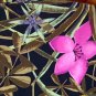 Chico's Tropical SS Summer Top 3 L 14/16 CHICOS
