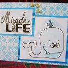 The Mircle of Life card