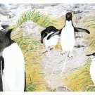 Art Greeting Cards - "Designer Suits"