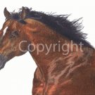 Art Greeting Cards - "Unreserved Strength"