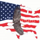 Art Greeting Cards - "Freedom Reigns"