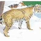 Art Greeting Cards - "Chance Encounter"