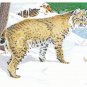 Art Greeting Cards - "Chance Encounter"