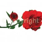 Art Greeting Cards - "Crimson Passion"