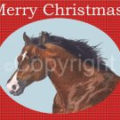 Christmas Greeting Cards - "Unreserved Strength"