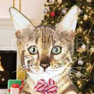 Christmas Greeting Cards - "Puurfect Friend"