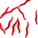 Free Shipping 30 pcs/lot New Soft Lure Earthworm With Fishy Smell