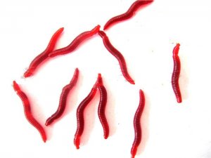 Free Shipping 30 pcs/lot New Soft Lure Earthworm With Fishy Smell