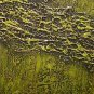 ORIGINAL MODERN ABSTRACT ART PAINTING by MICHAEL JOSEPH