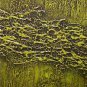 ORIGINAL MODERN ABSTRACT ART PAINTING by MICHAEL JOSEPH