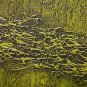ORIGINAL MODERN ABSTRACT ART PAINTING by MICHAEL JOSEPH