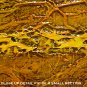 ORIGINAL MODERN ABSTRACT ART PAINTING by MICHAEL JOSEPH