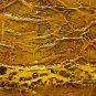 ORIGINAL MODERN ABSTRACT ART PAINTING by MICHAEL JOSEPH