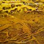 ORIGINAL MODERN ABSTRACT ART PAINTING by MICHAEL JOSEPH