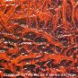 ORIGINAL MODERN ABSTRACT ART PAINTING by MICHAEL JOSEPH