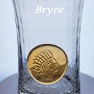 Emblem Indian Head tumbler optic