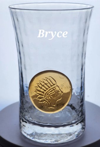 Emblem Indian Head tumbler optic