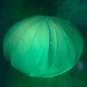 Hand crafted art glass paperweight from L.E. Smith