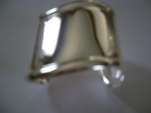 Fashion Shield