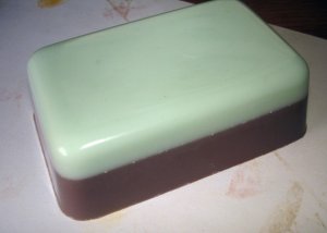 Chocolate Mint Shea Butter Soap
