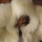 Hooded alpaca fur Overall, pelt outerwear for outdoor