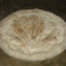 Round alpaca fur carpet from Peru, Shell Design, 100 cm