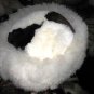 White fur cap, hat is made of Babyalpaca fur