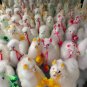 10 Alpaca Figures, Baby Alpaca Fur, 3.93 inch 10cms.