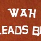 20 Leads