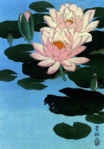 "Water Lily" BIG Japanese Art Print by Koson Japanese