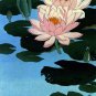 "Water Lily" BIG Japanese Art Print by Koson Japanese