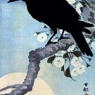 "Crow on Cherry Branch" BIG Japanese Art Print by Koson