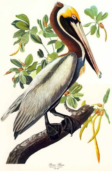 John James Audubon 