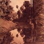 "Palm Canyon" Edward Curtis Native American Indian Art