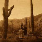 "Hasen Harvest Qahatik BIG" Edward S.Curtis Indian Art "Hasen Harvest Qahatik BIG" Edward S.Curtis Indian Art