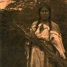 Edward Curtis "Rush Gatherer" BIG Native American Art