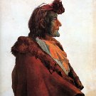 "Plains Medicine Man" Bodmer Art Print  Native American