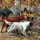 "English  & Irish Setter" by Louis Agassiz Fuertes Art